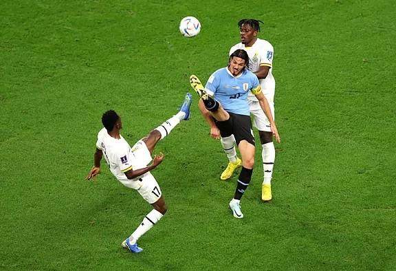 1670001020082093854.jpeg 29.jpeg